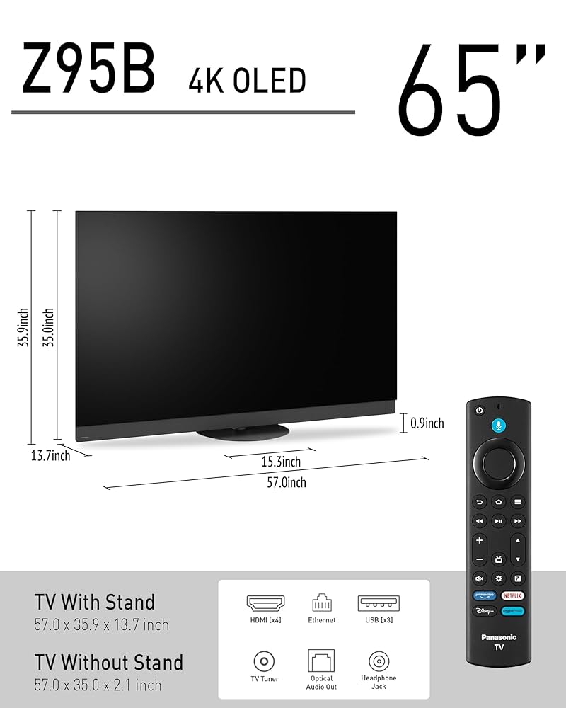 Panasonic - pug s8hpV4cN24ZqZa46NUscni.jpg